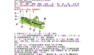 初中生物实验题技巧