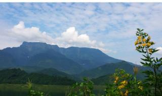 瓦屋山水库多大