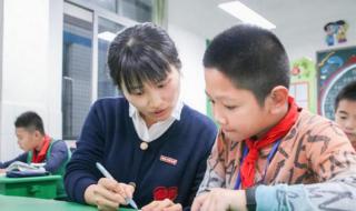 小学三年级通知怎么写